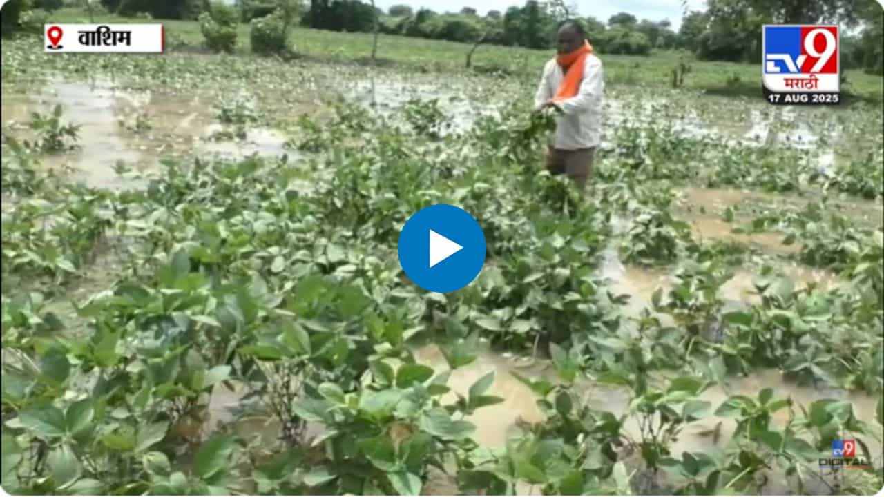 पावसाचा हाहाकार! शेतात गुडघाभर पाणी अन् शेतकऱ्यांच्या डोळ्यात चिंता... पावसाचा हाहाकार! शेतात गुडघाभर पाणी अन् शेतकऱ्यांच्या डोळ्यात चिंता...