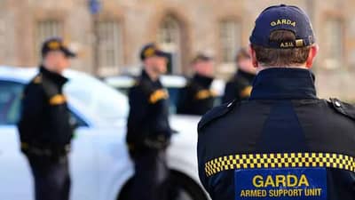 डर्टी इंडियन, परत जा म्हणत चिमुकलीचे केस ओढले, नको त्या जागी मारला ठोसा; आयर्लंडमध्ये काय घडलं ?