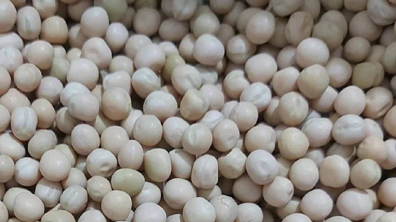 पांढऱ्या वाटाण्यांमध्ये, प्रथिने, फायबर, व्हिटामिन सी, पोटॅशियम मोठ्या प्रमाणात आढळते. विशेष म्हणजे त्यात फायबर देखील आढळते.