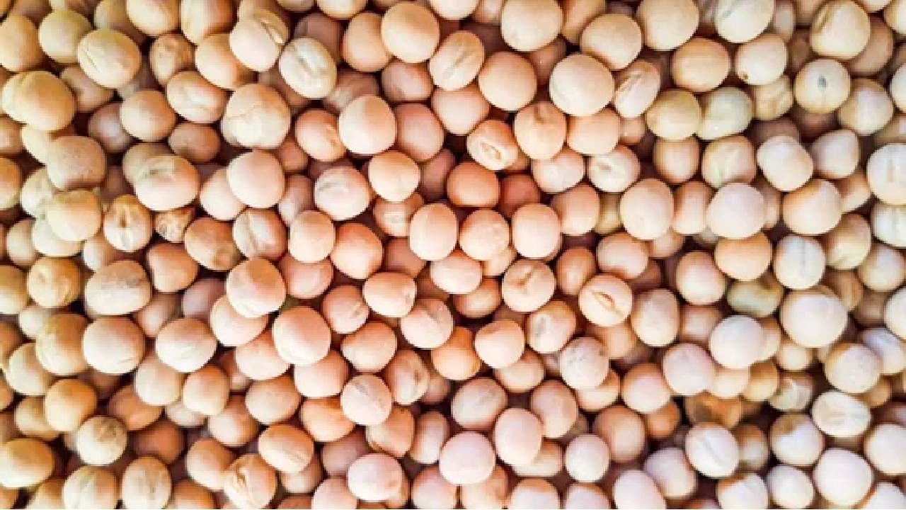 कोणाला जर पचणाच्या समस्या असतील तर त्या व्यक्तीने आपल्या आहारात अगोदर पांढऱ्या वाटाण्याचा समावेश करावा. यामुळे पोट साफ होण्यास मदत होते.
