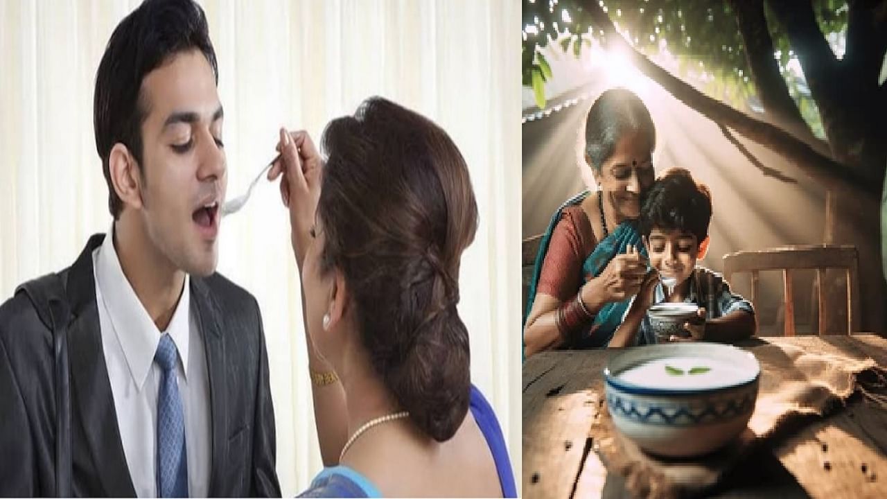 प्रत्येक शुभ कार्यापूर्वी आपण दही आणि साखर का खातो? आहे खास कारण प्रत्येक शुभ कार्यापूर्वी आपण दही आणि साखर का खातो? आहे खास कारण