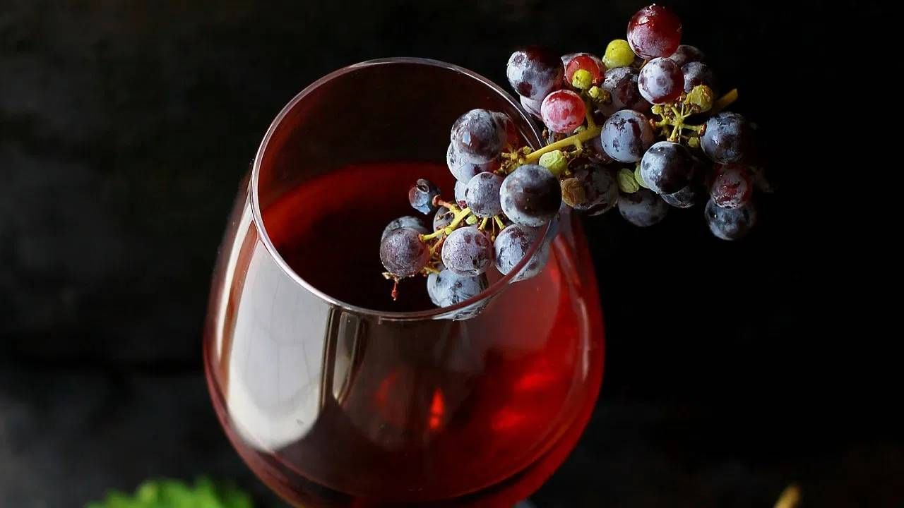 वाईन आणि शॅम्पेन तयार करण्यासाठी द्राक्षांचा वापर केला जातो. पण असं असलं तरी फरक आहे. फ्रान्समधील शॅम्पेनमध्ये उगवलेल्या द्राक्षांचा वापर शॅम्पेनसाठी केला जातो. चार्डोने आणि पिनोट नॉयर या प्रजातीची द्राक्ष वापरली जातात. (Pic: Unsplash)