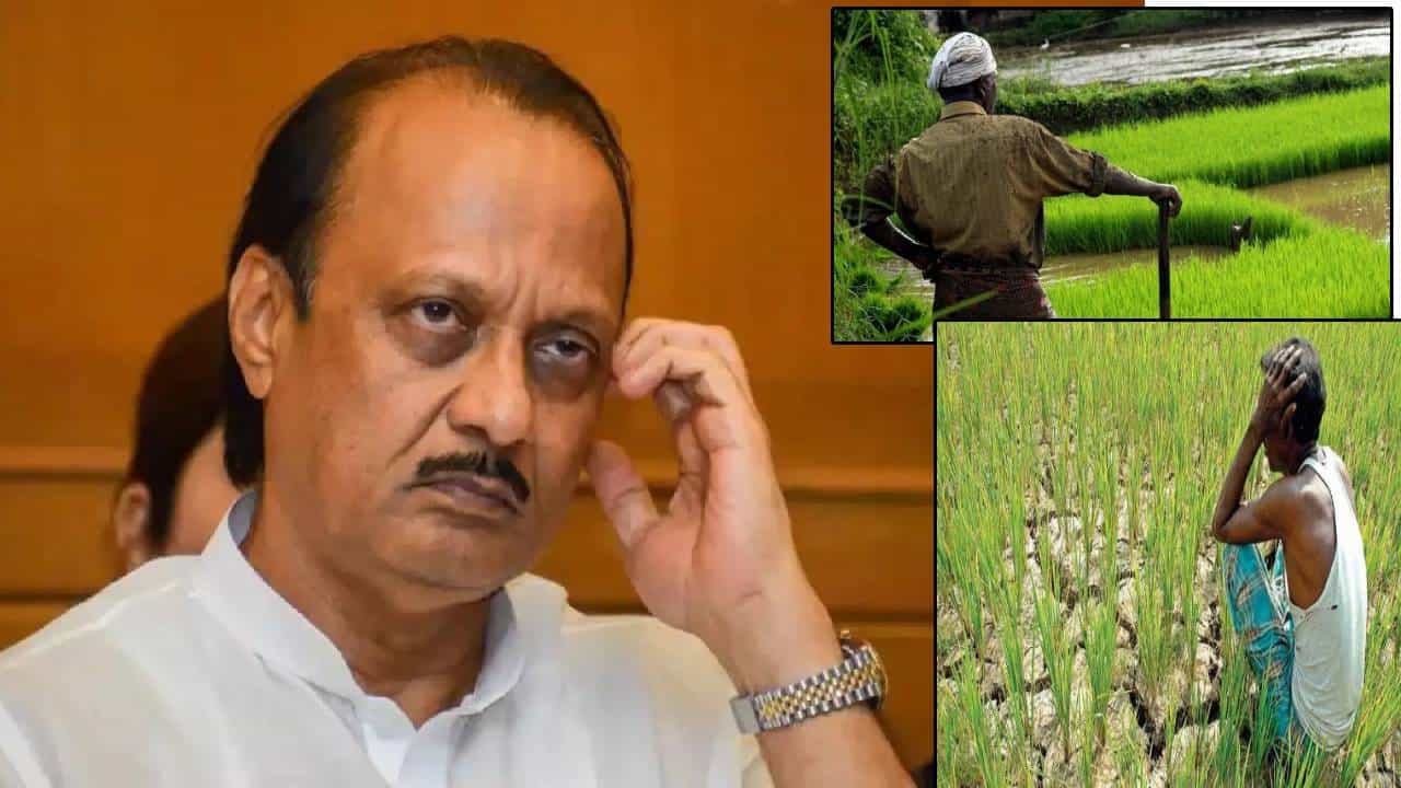 Ajit Pawar : कर्जमाफीवरून अजित पवारांचा यु-टर्न, दादांचं तळ्यात मळ्यात, एकदा म्हणताय करू अन् आता...