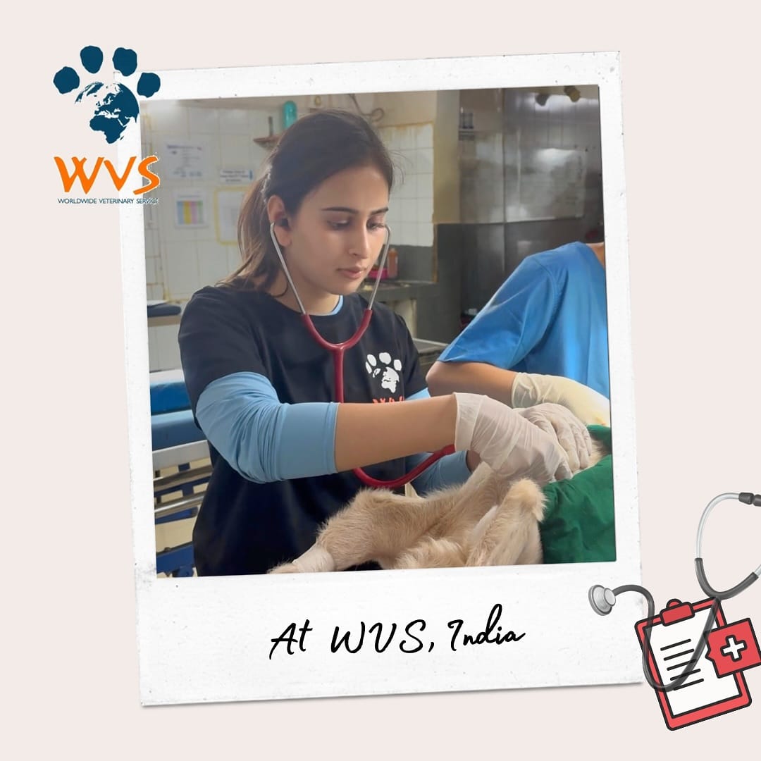 तिने इन्स्टाग्रामवर मिस्टर पॉज या नावाने एक पेजही सुरु केले आहे. त्यात ती कायमच विविध फोटो आणि व्हिडीओ पोस्ट करताना दिसते. तिच्या या पेजचे साधारण ३७५० फॉलोअर्स आहेत. विशेष म्हणजे तिच्या या पेजला सारा तेंडुलकर, अर्जुन तेंडुलकर यांसह अनेकजण फॉलो करतात.