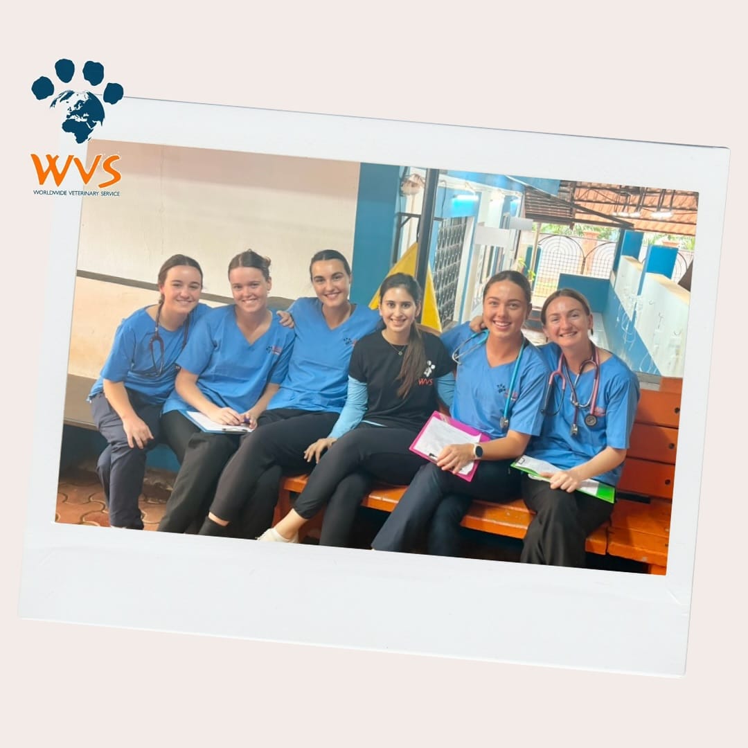 सानिया ही प्राणीप्रेमी असून तिच्याकडे तीन पाळीव श्वान आहेत. भारतात परतल्यानंतर तिने प्राणीप्रेमातून स्वत:चा बिझनेस सुरु केला. तिने मिस्टर पॉज प्रीमियम पेट सलूनची सुरुवात केली आहे.