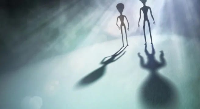 त्यांची भविष्यवाणी हे सांकेतिक स्वरुपाची असते. म्हणजेच त्यांनी केलेल्या भविष्यवाणीचे अर्थ काढावे लागतात. त्या आज हयात नसल्या तरी त्यांच्या भविष्यवाणीचे गांभीर्य आजही टिकून आहे. त्यांची काही दिवसांपूर्वी डबल फायरची भविष्यवाणी समोर आली होती.