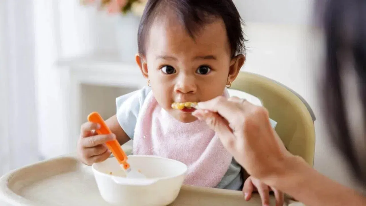 मुलांनी कोणत्या वयापासून स्वतःहून खायला सुरुवात करावी? जाणून घ्या मुलांनी कोणत्या वयापासून स्वतःहून खायला सुरुवात करावी? जाणून घ्या