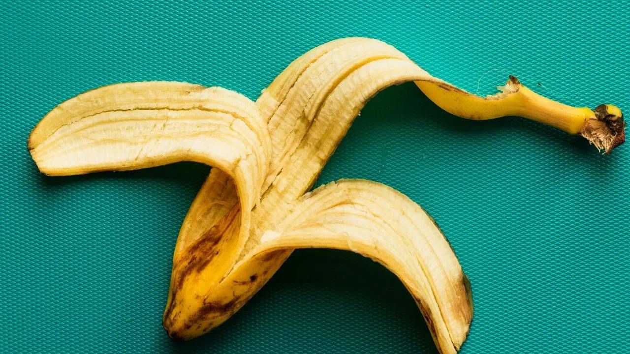 केळ्याच्या सालींमध्ये पोटॅशिअम, फॉस्फरस आणि कॅल्शिअम सारखे पोषक घटक भरपूर असतात, जे वनस्पतींची मुळे मजबूत करतात आणि नवीन पानांच्या वाढीस मदत करतात. सालांचे लहान तुकडे करा आणि मातीत पुरा किंवा पाण्यात भिजवा आणि 2-3 दिवसांनी ते पाणी झाडांना घाला . ( Photos : Unsplash and Getty Images)