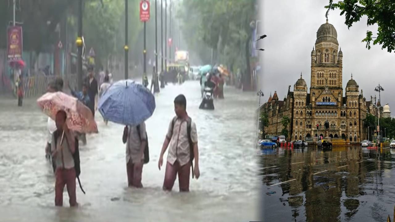 Mumbai Heavy Rain : हवामान खात्याचा अलर्ट अन् मुंबईत धुव्वाधार... शाळा-कॉलेजला सुट्टी जाहीर, पोरांची पावसात धूम; BMC चं आवाहन काय? Mumbai Heavy Rain : हवामान खात्याचा अलर्ट अन् मुंबईत धुव्वाधार... शाळा-कॉलेजला सुट्टी जाहीर, पोरांची पावसात धूम; BMC चं आवाहन काय?