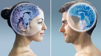 आपल्या मेंदूचे वजन किती असते? स्वतःला जिनियस समजत असाल, तर द्या या प्रश्नांची उत्तरे