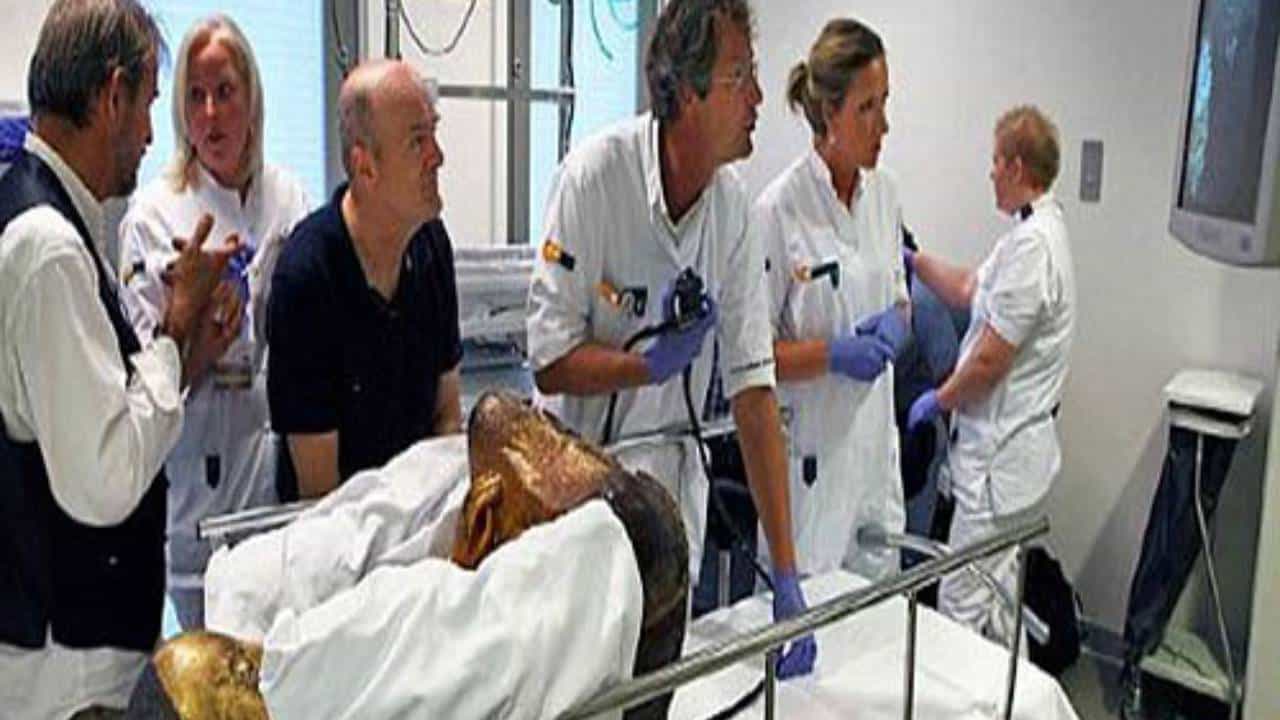 सायन्सनेही हात टेकले! 1200 वर्षापूर्वीच्या डेड बॉडीचं CT Scan, रिपोर्ट जो आला त्याने डॉक्टर, संशोधकही हैराण; असं काय आढळलं त्यात?