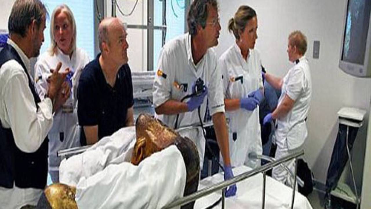 सायन्सनेही हात टेकले! 1200 वर्षापूर्वीच्या डेड बॉडीचं CT Scan, रिपोर्ट जो आला त्याने डॉक्टर, संशोधकही हैराण; असं काय आढळलं त्यात? सायन्सनेही हात टेकले! 1200 वर्षापूर्वीच्या डेड बॉडीचं CT Scan, रिपोर्ट जो आला त्याने डॉक्टर, संशोधकही हैराण; असं काय आढळलं त्यात?