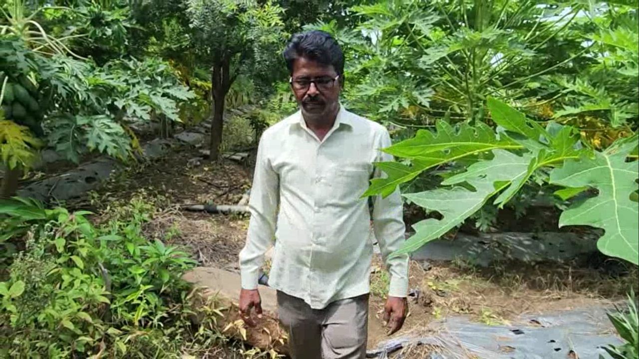  पारंपरिक पिकांवर अवलंबून न राहता योग्य नियोजन आणि कृषी तज्ज्ञांच्या मार्गदर्शनाखाली शेती केल्यास किती फायदा होऊ शकतो, हे त्यांनी आपल्या कृतीतून दाखवून दिले आहे.