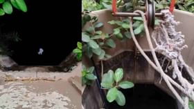 इथं कळते तुमच्या मृत्यूची तारीख, एका क्षणात भविष्यवाणी!.