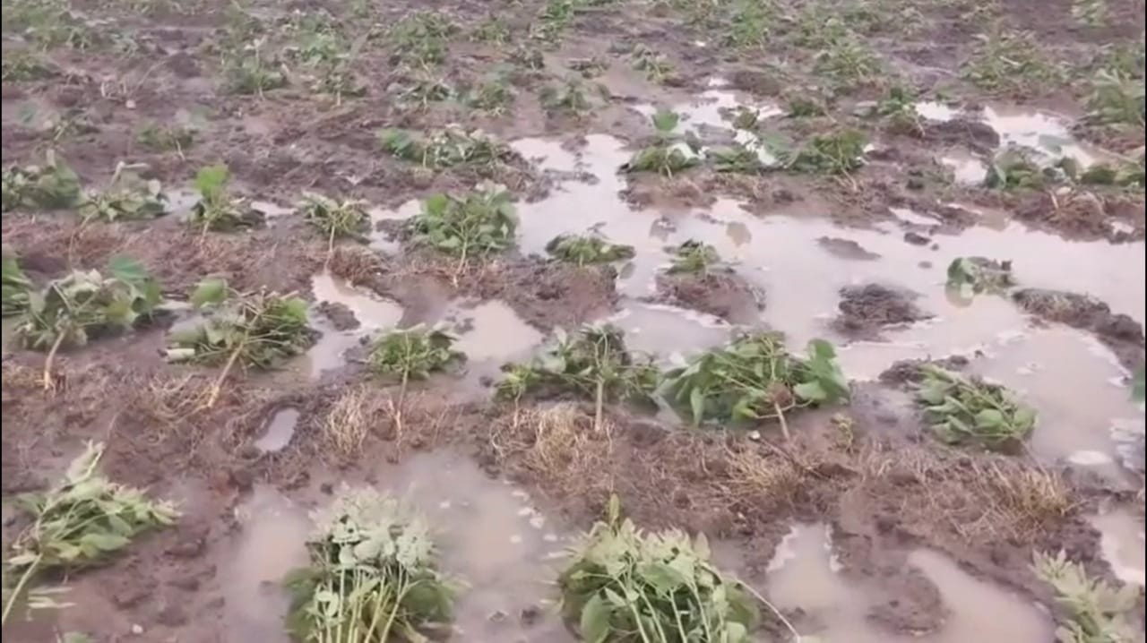 पुण्यात गेल्या तासाभरापासून मुसळधार पाऊस सुरू असून, धरणातून पाणी सोडल्याने मुठा नदीची पाणी पातळी वाढली आहे. यामुळे एकता नगर परिसरात पाणी शिरले असून, काही घरांमध्ये पाणी शिरल्याने भीतीचे वातावरण आहे. राष्ट्रीय आपत्ती निवारण दलाचे (NDRF) जवान आणि अग्निशमन दलाचे कर्मचारी बचावकार्यात गुंतले असून, स्थानिक रहिवाशांना सुरक्षित स्थळी हलवण्याचे काम युद्धपातळीवर सुरू आहे.