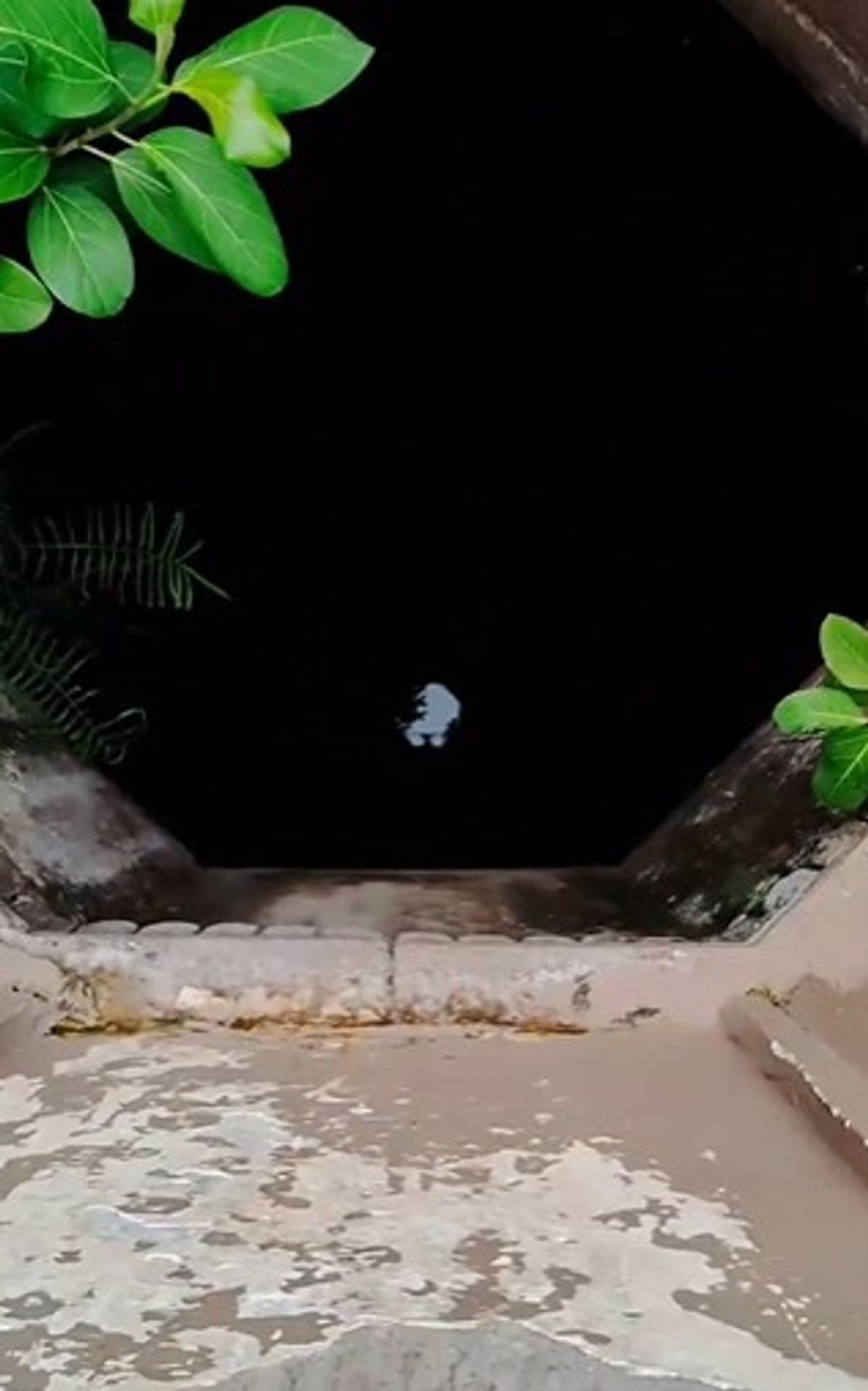 जगात अशा काही चमत्कारिक जागा आहेत, त्याविषयी अजूनही कोणालाच काहीही समजू शकलेलं नाही. भारतात तर काही ठिकाणी फारच चमत्कारीक ठिकाणं आहेत.