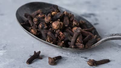 रोज एक महिना रिकाम्यापोटी लवंग चघळण्याने मिळतील हे चमत्कारिक फायदे