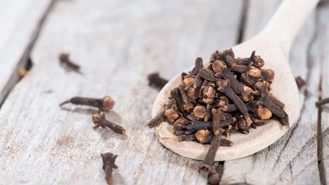 गर्भावस्थेदरम्यान लवंगचे सेवन केवळ डॉक्टरांच्या सल्ल्याने करावे, कारण यामुळे गर्भाशय उत्तेजित होऊ शकते.