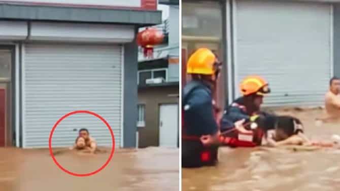 अरे आधी माझ्या बायकोला वाचवा... तो जीवाच्या आकांताने ओरडला, पुरात अडकलेल्या जोडप्यांचा हा व्हिडीओ रडवून सोडतोय
