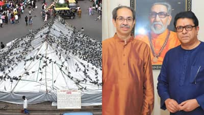 कबुतरखान्याच्या आंदोलनात ठाकरे बंधूंची एन्ट्री होणार? कुणी दिलं आवतन? आज काय घडणार?
