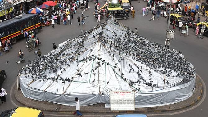 कबुतरखाना वाचवण्यासाठी सर्वधर्मीयांचा दादरमध्ये एल्गार, सभेचं आयोजन