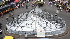 मोठी बातमी, कबुतरखान्यांवर बंदी कायम, सुप्रीम कोर्टाचा निर्णय काय? मोठी बातमी, कबुतरखान्यांवर बंदी कायम, सुप्रीम कोर्टाचा निर्णय काय?