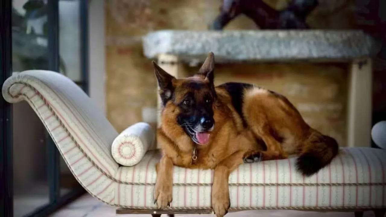  गुनथर याच्यासाठी एक वैयक्तिक शेफ  जेवण बनवतो. तो यॉटमधून आणि आलिशान गाड्यांमध्ये प्रवास करतो. इटलीतील टस्कनी येथील एका आलिशान व्हिलामध्ये राहतो.