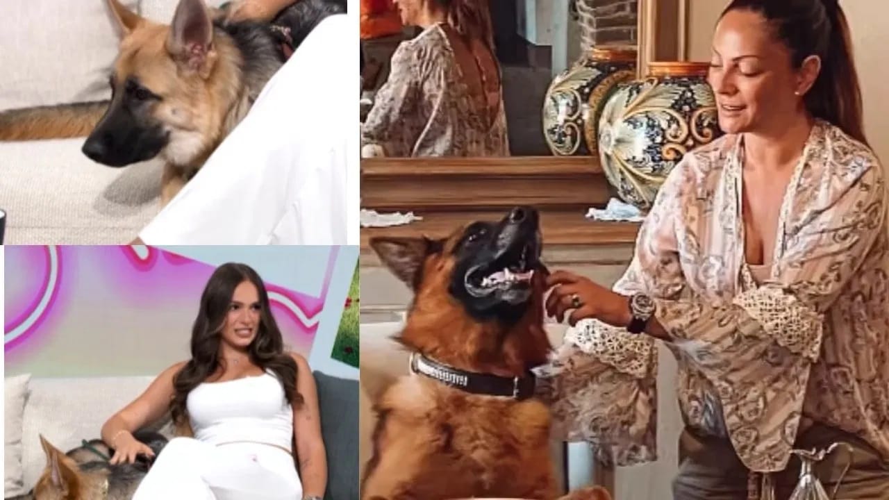 गुनथरच्या प्रत्येक गरजेसाठी 27 कर्मचारी उपस्थित असतात. असे म्हटले जाते की गुंथरकडे सुमारे 3500 कोटी रुपयांची मालमत्ता आहे.