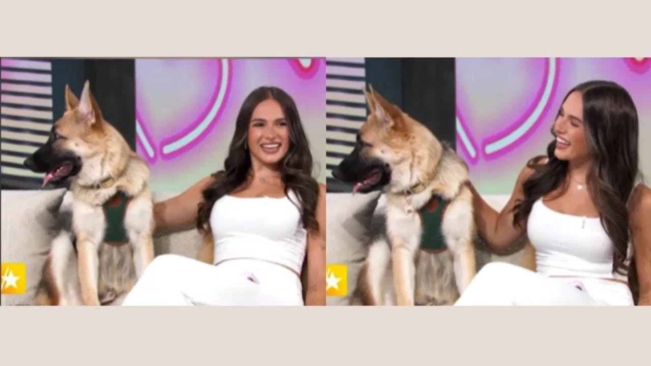 गुनथरच्या संपत्तीची कहाणी 1992 मध्ये सुरू झाली, जेव्हा त्याची मालकीण कार्लोटा लिबेनस्टाईन यांचं निधन झालं. त्यांनी स्वतःची लाखोंची मालमत्ता गुनथर III याच्यासाठी ठेवली आहे. 