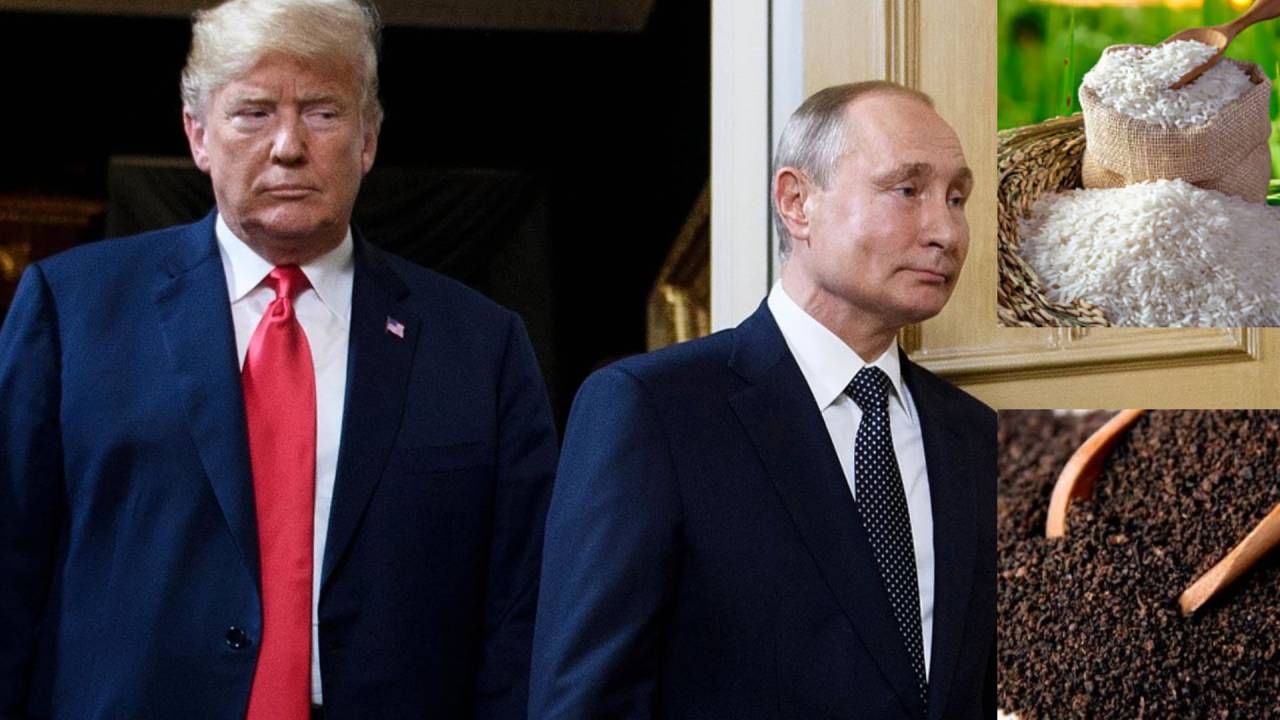 भारतीय वस्तूंचे रशियाच्या बाजारपेठेत स्वागत...डोनाल्ड ट्रम्प यांना थेट धक्का, अर्थव्यवस्थेला मोठी...