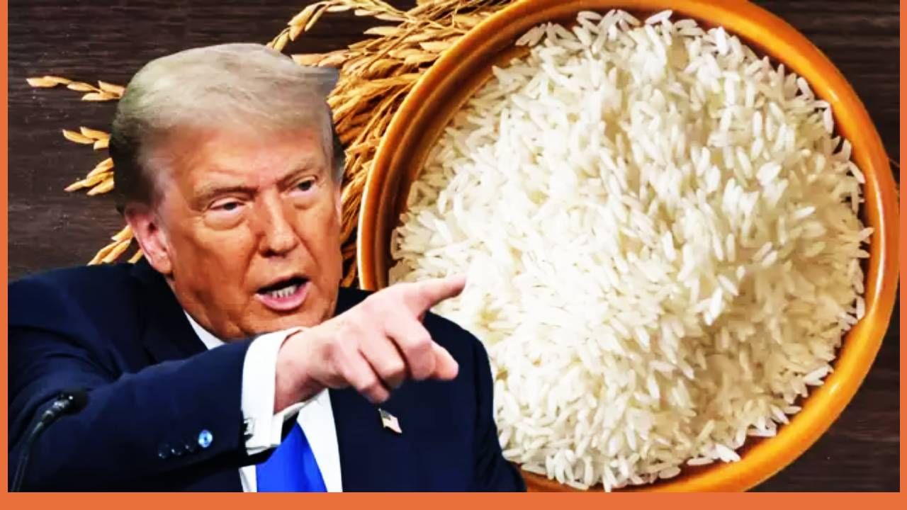 Donald Trump : तांदळासाठी झगडा, ट्रम्प यांना जोरदार झटका, या देशाने 4800000 रुपयांची डील थांबवली