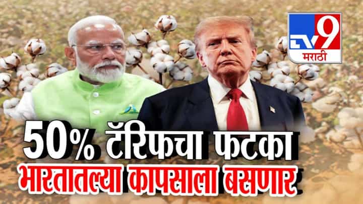 US Cotton Tariffs : ट्रम्पच्या 50 % टेरिफचा फटका भारतातल्या कापसाला.. विरोधकांनी सरकारला घेरलं, केंद्राचा निर्णय काय? US Cotton Tariffs : ट्रम्पच्या 50 % टेरिफचा फटका भारतातल्या कापसाला.. विरोधकांनी सरकारला घेरलं, केंद्राचा निर्णय काय?