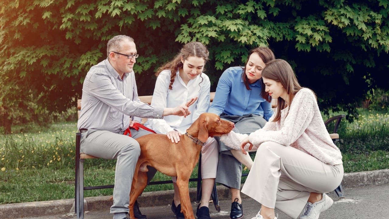 जेव्हा तुम्ही तुमच्या कुटुंबातील समस्या कोणाला सांगता, तेव्हा ती व्यक्ती त्याचा उपयोग तुमचा किंवा तुमच्या कुटुंबाचा अपमान करण्यासाठी करू शकते. कुटुंबातील समस्या कुटुंबातच सोडवणे महत्त्वाचे आहे. कारण यामुळे कुटुंबातील लोकांमध्ये विश्वास आणि सन्मान कायम राहतो.