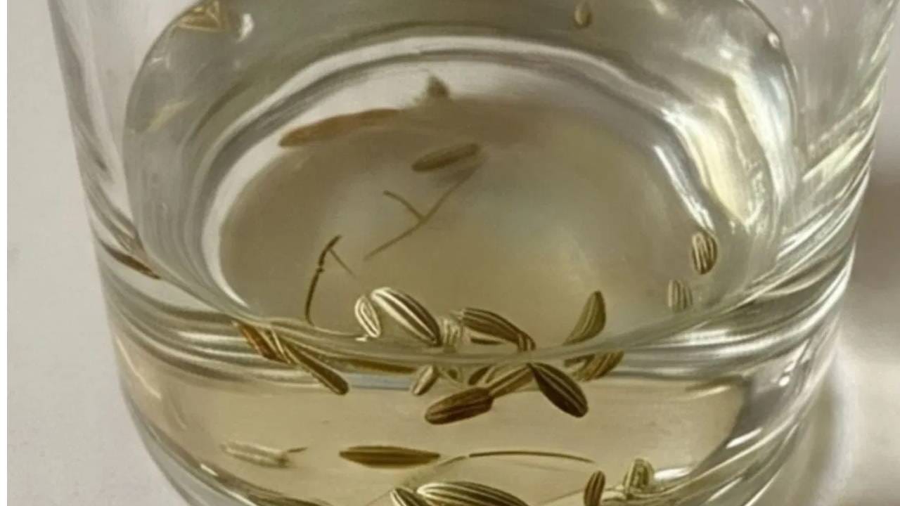 बडीशेपमुळे कोलेस्टेरॉलची पातळी कमी करण्यास देखील मदत करते. बडीशेपचे पाणी पिणे अधिक फायदेशीर ठरते. यामुळे आरोग्याच्या अनेक समस्या दूर होण्यास मदत होते. 