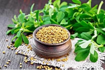 केवळ १४ दिवस खा मेथीच्या बिया, या लोकांना होईल प्रचंड फायदा