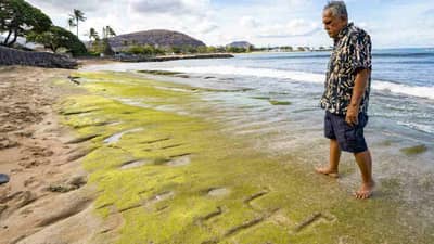 अचानक प्रकट झाली 1 हजार वर्षांपूर्वीची वस्तू, रहस्यमयी दृश्य पाहून लोकांत भीतीचं वातावरण!