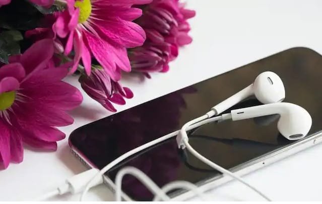  जर तुम्ही इलेक्ट्रॉनिक वस्तू खरेदी करणार असाल तर चांगला ब्ल्युटुथ स्पिकर वा हेडफोन खरेदी करु शकता. 