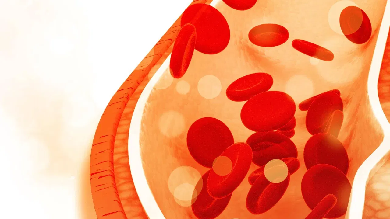 (डिस्क्लेमर : वरील माहिती उपलब्ध स्रोतावरून देण्यात आलेली आहे. याच्या तथ्यांबद्दल आम्ही कुठलाही दावा करीत नाही)