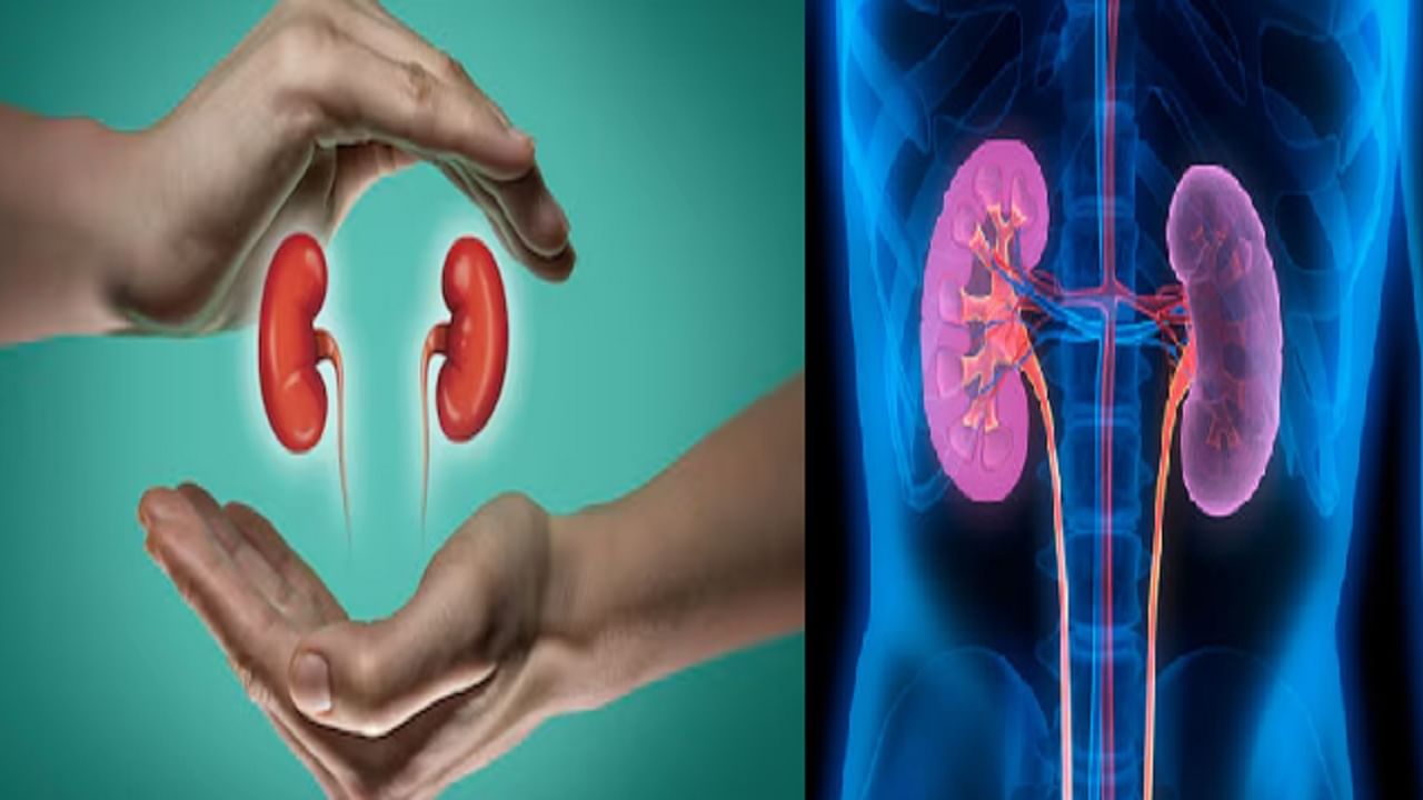'ही' लक्षणे दिसताच ओळखा तुमची किडनी व्यवस्थित काम करतेय की नाही?