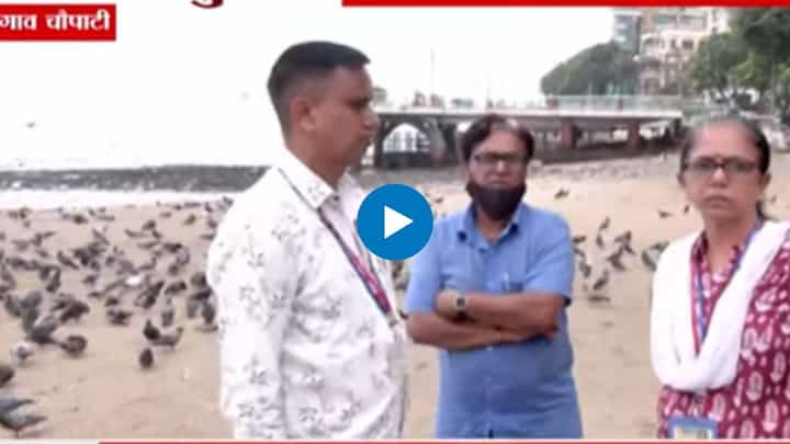 कबुतरांना खाद्यपदार्थ देण्याचे प्रकार सुरूच; मनपाकडून कारवाईचा बडगा कबुतरांना खाद्यपदार्थ देण्याचे प्रकार सुरूच; मनपाकडून कारवाईचा बडगा
