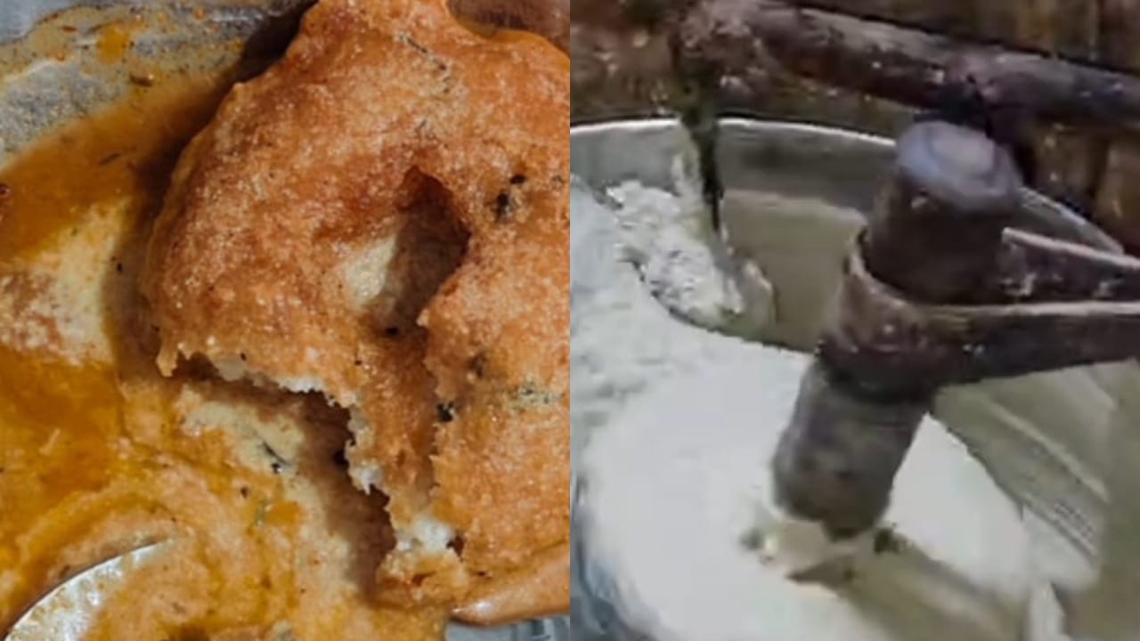 धक्कादायक! इडलीमध्ये सापडली जिवंत अळी, पुढे जे घडलं ते पाहून तुम्हालाही बसेल धक्का! धक्कादायक! इडलीमध्ये सापडली जिवंत अळी, पुढे जे घडलं ते पाहून तुम्हालाही बसेल धक्का!