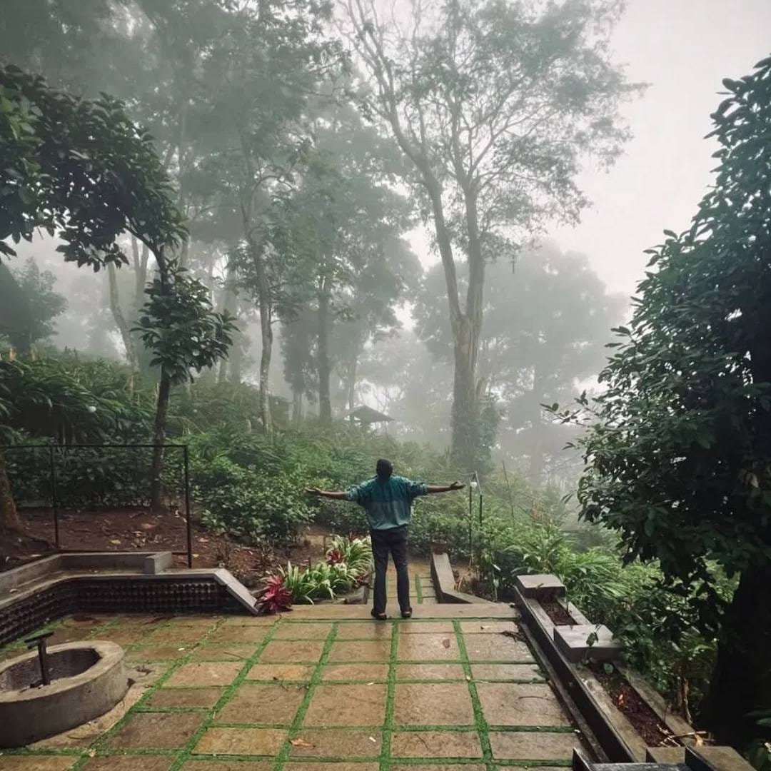 मुन्नारबद्दल बोलायच झाल्यास हे दक्षिण भारतात केरळमधील सुंदर ठिकाण आहे. इथे सुद्धा तुम्हाला चहाचे मळे पहायला मिळतील. मान्सूनमध्ये हे मळे हिरवेकच होऊन जातात. पाहताक्षणी तुम्ही प्रेमात पडाल. बंगळुरुपासून मुन्नार 532 किलोमीटर अंतरावर आहे. 