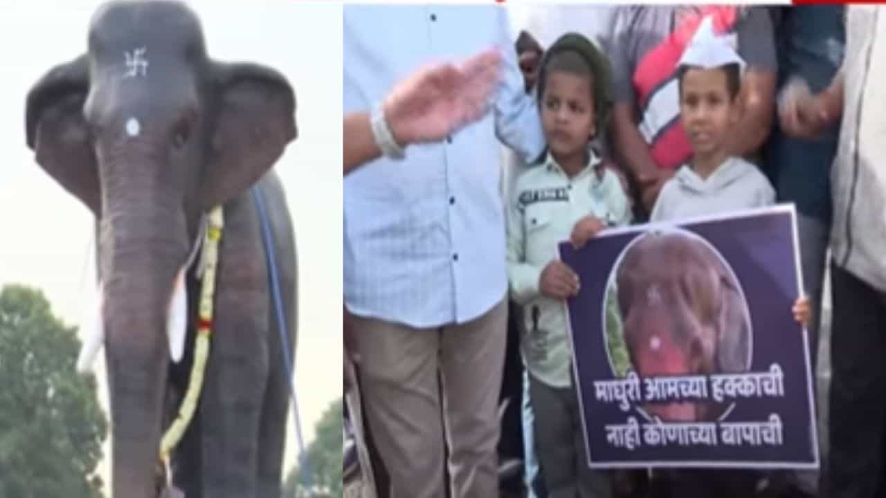 माधुरी परत करा, जिओ बॉयकॉट! कोल्हापुरात महादेवी हत्तीणीसाठी पदयात्रा अन् घोषणाबाजी