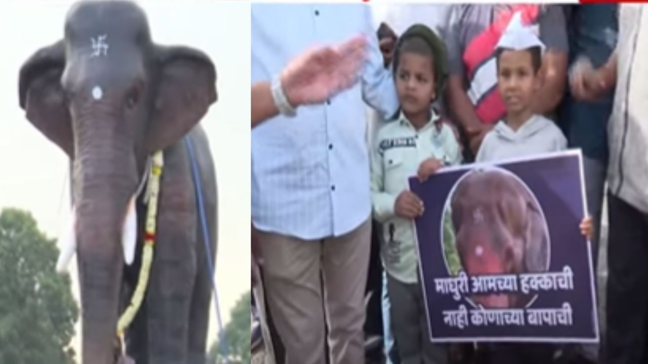 माधुरी परत करा, जिओ बॉयकॉट! कोल्हापुरात महादेवी हत्तीणीसाठी पदयात्रा अन् घोषणाबाजी