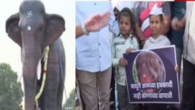 कोल्हापुरात महादेवी हत्तीणीसाठी पदयात्रा अन् घोषणाबाजी कोल्हापुरात महादेवी हत्तीणीसाठी पदयात्रा अन् घोषणाबाजी