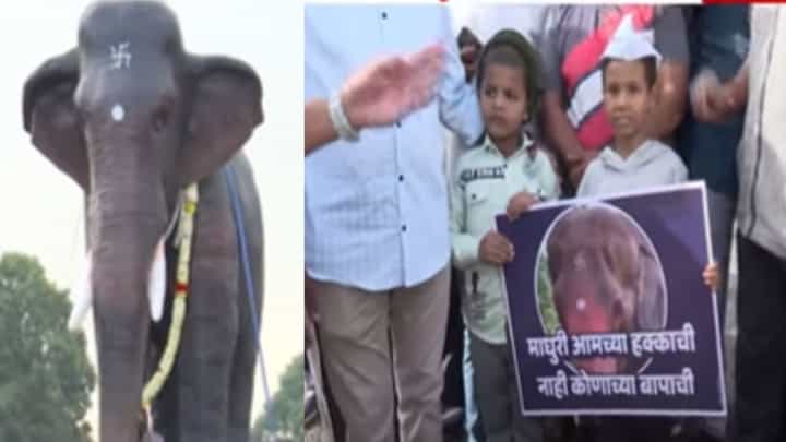 माधुरी परत करा, जिओ बॉयकॉट! कोल्हापुरात महादेवी हत्तीणीसाठी पदयात्रा अन् घोषणाबाजी माधुरी परत करा, जिओ बॉयकॉट! कोल्हापुरात महादेवी हत्तीणीसाठी पदयात्रा अन् घोषणाबाजी