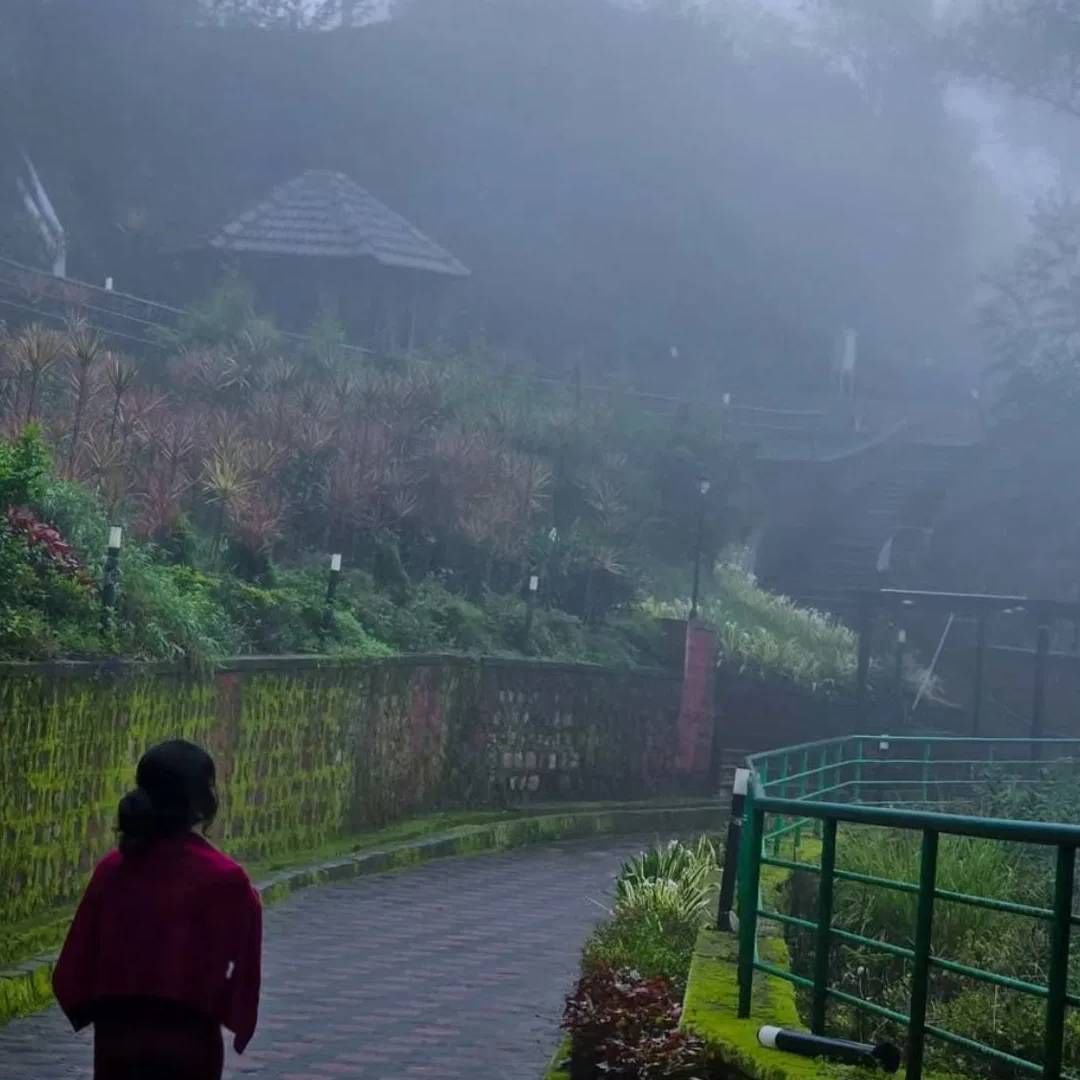 कुर्गला भारताच स्कॉटलंड म्हटलं जातं. दक्षिण भारतातील हे सुंदर हिल स्टेशन आहे. हे कर्नाटकात आहे. बंगळुरुपासून कुर्ग जवळपास 265 किलोमीटर अंतरावर आहे. कुर्ग आपलं नैसर्गिक सौंदर्य आणि पर्यटकांमध्ये खूप लोकप्रिय आहे. 