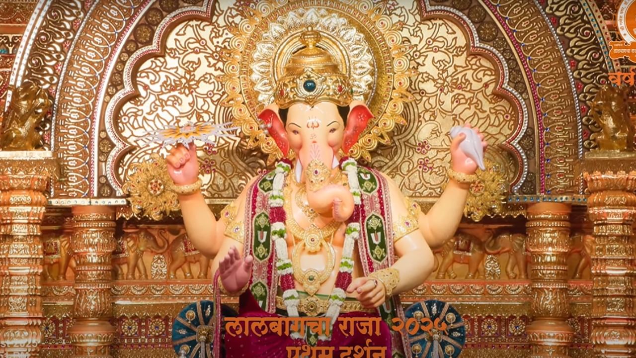 मुंबईतील सर्वात प्रतिष्ठित गणपतींपैकी एक म्हणून लालबागचा राजा प्रसिद्ध आहे. यंदाच्या गणेशोत्सवासाठी लालबागचा राजा सज्ज झाला आहे. काही दिवसांपूर्वी लालबागचा राजाचा फर्स्ट लूक समोर आला होता.