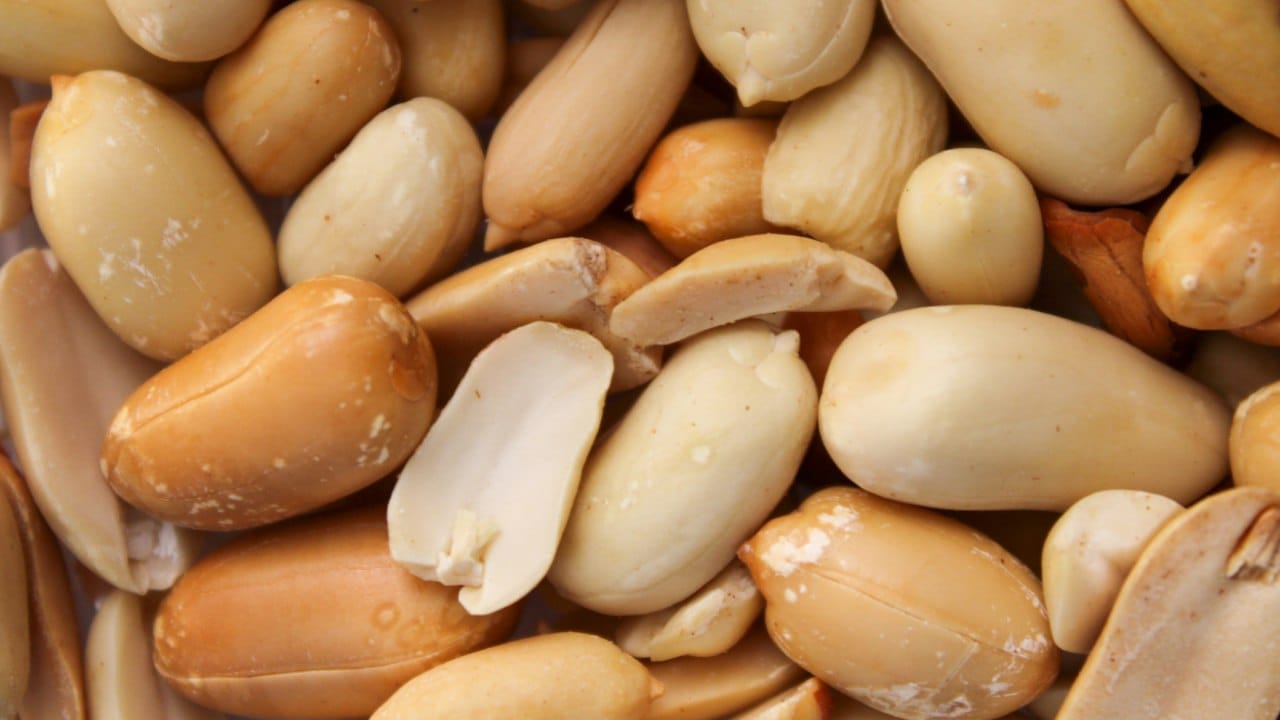 शेंगदाणे खाल्ल्यावर आपलं तोंड आणि घसा कोरडा होतो. त्यामुळे आपल्याला पुन्हा पुन्हा काहीतरी पिण्याची इच्छा होते. यामुळे दारु पिणारी व्यक्ती नकळतपणे जास्त दारू पिते. याचाच अर्थ शेंगदाणे हे केवळ चवीसाठी नसून त्याचा वापर मद्यपान वाढवण्यासाठीही केला जातो.