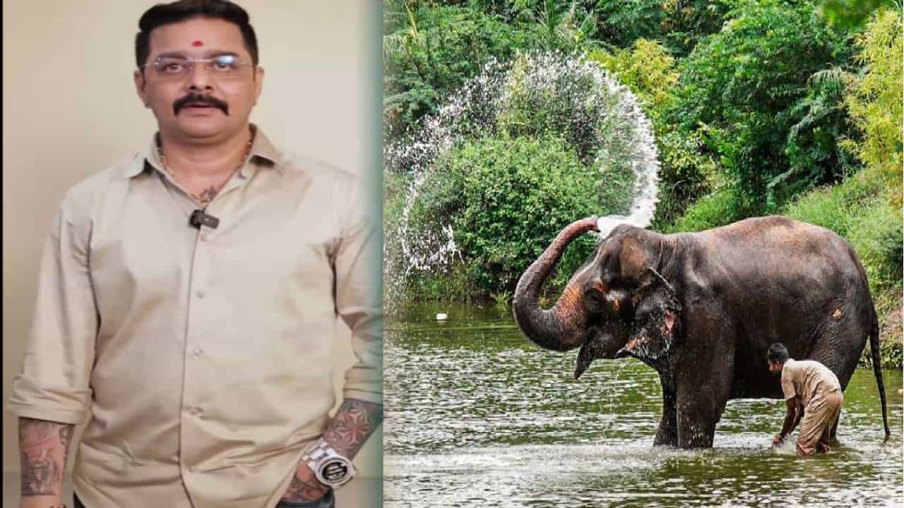 Hindustani Bhau :  जेवता ना तुम्ही, XX तर खात नाही ना? माधुरी हत्तीण प्रकरणात हिंदुस्थानी भाऊची उडी अन् कोल्हापूरकरांना डिवचलं, 'तो' VIDEO व्हायरल